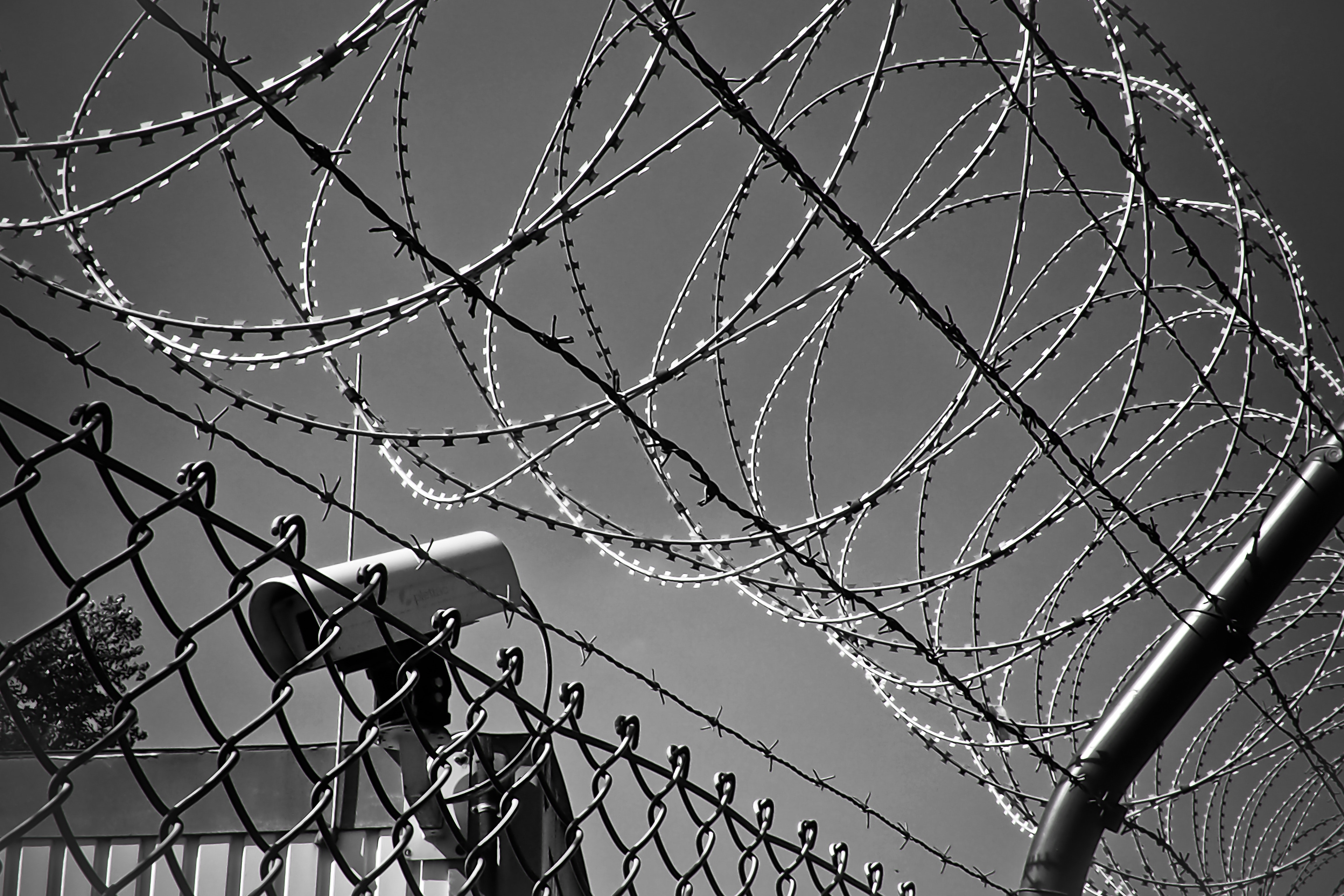 abstract barbed wire black white 274886 - Surveillance